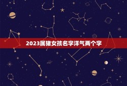 2023属猪女孩名字洋气两个字(如何选择灵感来自这些名人)