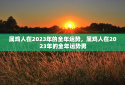 属鸡人在2023年的全年运势，属鸡人在2023年的全年运势男