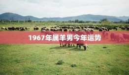 1967年属羊男今年运势(事业顺利财运亨通)