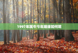 1997年属牛今年姻缘如何呢，1997年属牛姻缘在哪年最旺盛