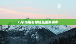 八字婚姻看哪柱最重要男命，八字哪一项看婚姻