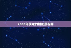 2000年属龙的婚配属相男(如何选择伴侣)