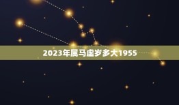 2023年属马虚岁多大1955(属马人的年龄计算方法介绍)