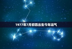 1977年7月初四出生今年运气(命运多舛还是贵人相助)
