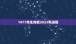 1977年生肖蛇2023年运程(事业财运双丰收)