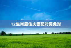 12生肖最佳夫妻配对男兔对，男生肖兔和什么生肖最配