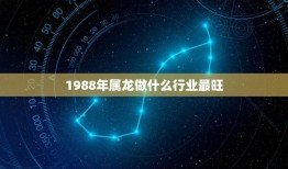 1988年属龙做什么行业最旺(十二生肖属龙运势分析)