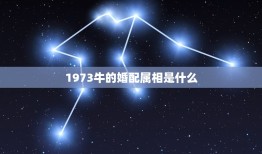 1973牛的婚配属相是什么(介绍与哪些属相最相配)