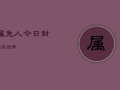 属兔人今日财运及运势，属蛇人今年运势