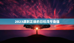 2023遇到正缘的日柱戊午身强，2023年正缘出现的日柱