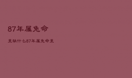 87年属兔命里缺什么，87年缺啥