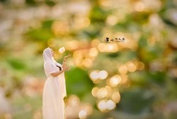 古人不见今日运势，古人不见今日月下一句