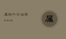 属狗今日运势非常运势，属狗今日运势及运程