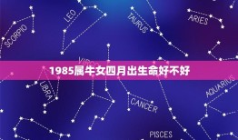 1985属牛女四月出生命好不好(牛女四月生命运如何)