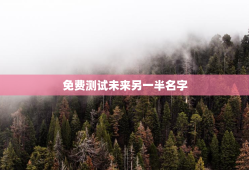 免费测试未来另一半名字，测试未来的另一半姓名免费