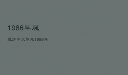 1986年属虎炉中火取名，1986年属虎炉中火取名能用什么字