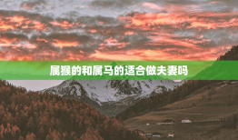 属猴的和属马的适合做夫妻吗，属猴的人和属马的人做夫妻相配吗?