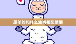 属羊的和什么生肖相配婚姻(最佳配对大揭秘)