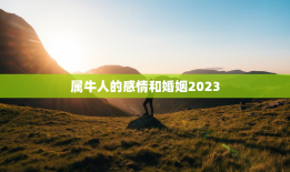 属牛人的感情和婚姻2023，属牛人的感情和婚姻2023年怎么样