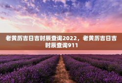 老黄历吉日吉时辰查询2022，老黄历吉日吉时辰查询911