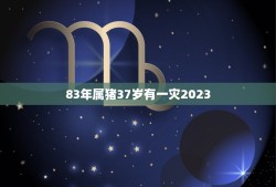 83年属猪37岁有一灾2023(如何化解)