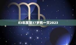 83年属猪37岁有一灾2023(如何化解)