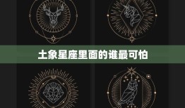 土象星座里面的谁最可怕(揭秘星座世界的恐怖之王)