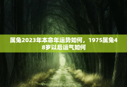 属兔2023年本命年运势如何，1975属兔48岁以后运气如何