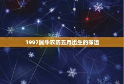 1997属牛农历五月出生的命运(牛儿天生有福气五月出生更是好兆头)