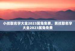 小孩取名字大全2023属兔免费，男孩取名字大全2023属兔免费