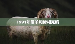 1991年属羊和猪相克吗(解析属相相克的真相)