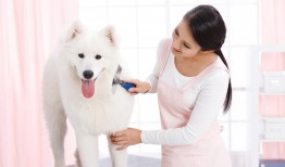 12生肖表资料大全 十二生肖属性知识大全
