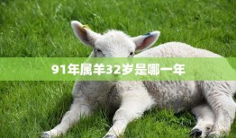 91年属羊32岁是哪一年(解密属羊人的命运轨迹)
