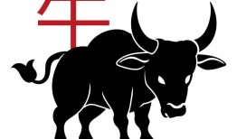 2023年属牛射手座运势(牛转运射手逆袭)