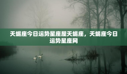 天蝎座今日运势星座屋天蝎座，天蝎座今日运势星座网