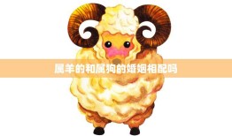 属羊的和属狗的婚姻相配吗(解析属相配对的奥秘)