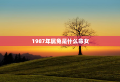 1987年属兔是什么命女，87年属兔36岁有一灾