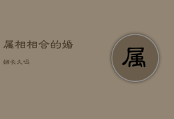 属相相合的婚姻长久吗，属相合不合婚姻