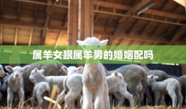 属羊女跟属羊男的婚姻配吗(星座专家揭秘)