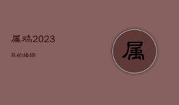 属鸡2023年的婚姻，属鸡2023年的婚姻运势