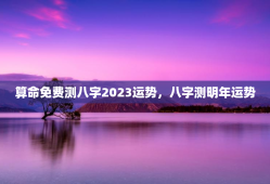 算命免费测八字2023运势，八字测明年运势