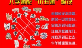 属猴和什么属相最配、相克，属相也会相生相克，属猴和什么属相犯冲？