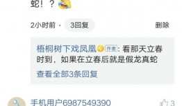 属龙几月出生是真龙，属虎人一生最旺3个人