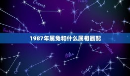 1987年属兔和什么属相最配(狗羊马，哪个更合适？)