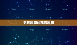 男孩属狗的配偶属相(根据生肖血型分析配对)