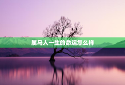 属马人一生的命运怎么样，属马人一生的命运如何