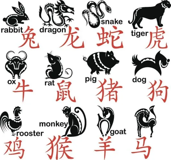 生肖龙和生肖兔配吗：从性格到生活的深度解析  第1张