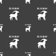 摩羯座今日运势全解析：事业财运精准指南