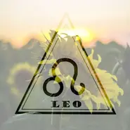 狮子座今日运势精准解读：水墨先生3分钟速查