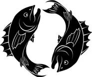 双鱼座今日运势美国神婆网全解析：5条运势增强指南